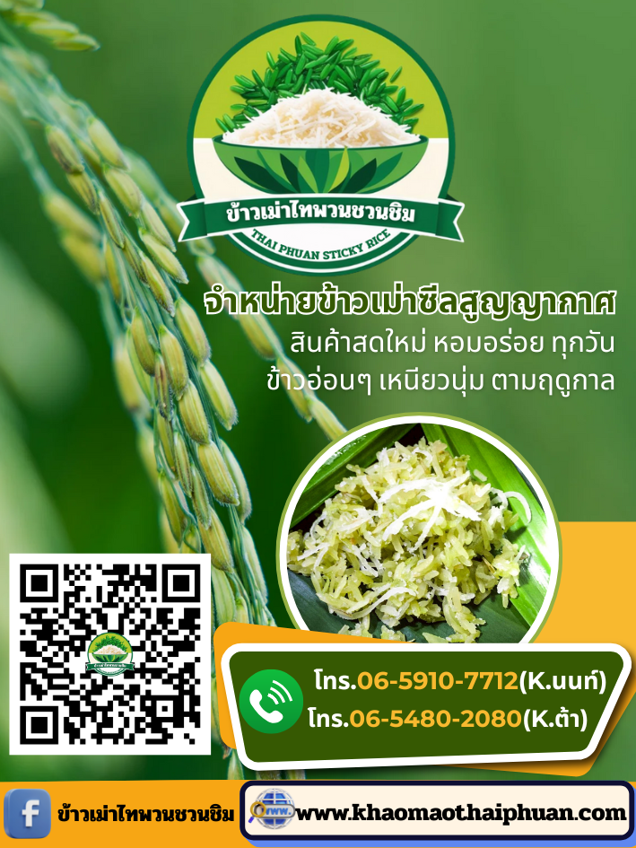 card khaomaothaiphuan 04