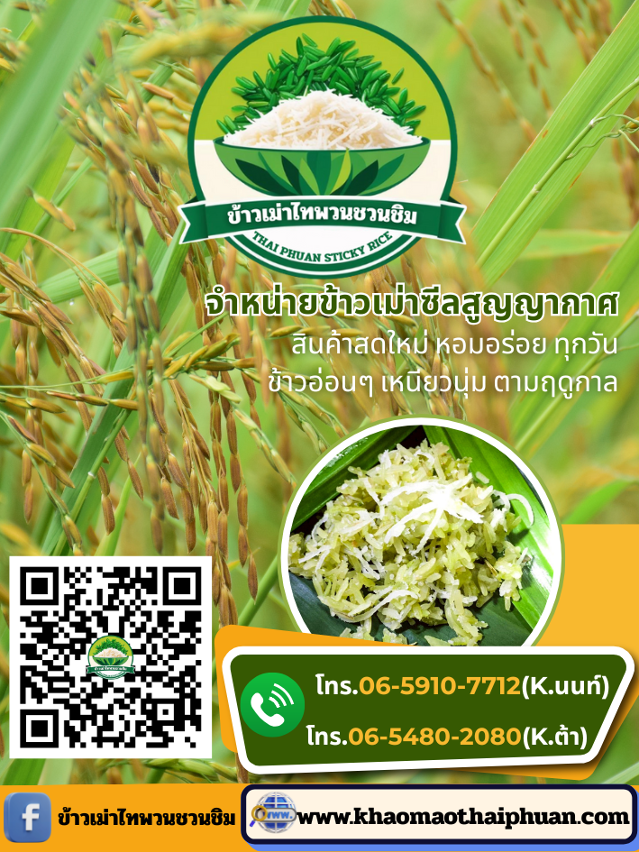 card khaomaothaiphuan 04